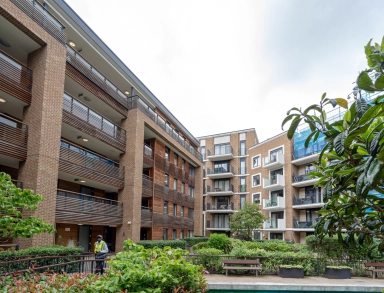 SE16image5