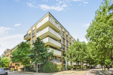 SE16image0