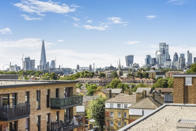 SE16image10
