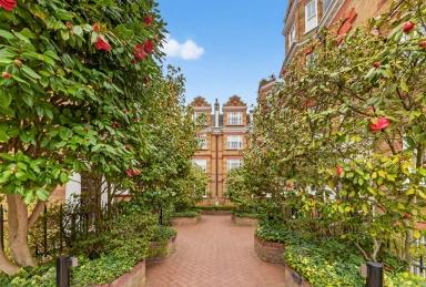 Pitt Street, Kensington - W8 view 19