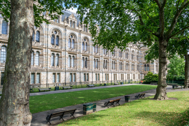 Sloane Avenue, Chelsea - SW3 view 18