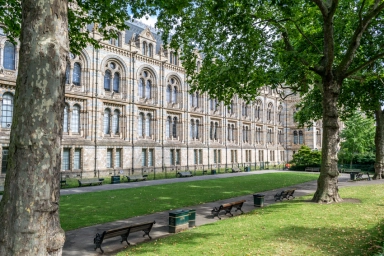 Sloane Avenue, Chelsea - SW3 view 16