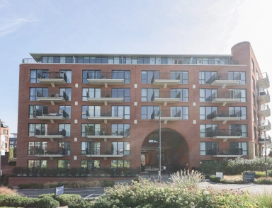 SE18image0