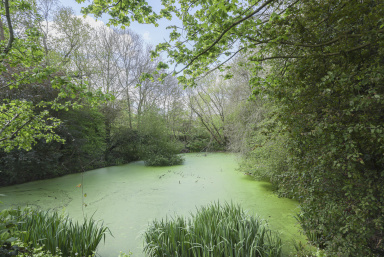 Nathan Way, Plumstead SE28 image 4