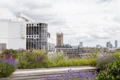 SW1Himage13
