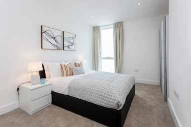  SE16image3