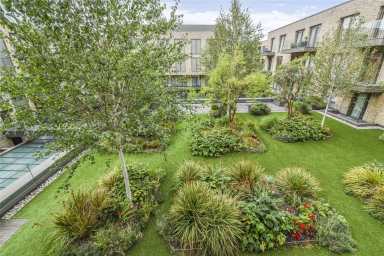 W6image7