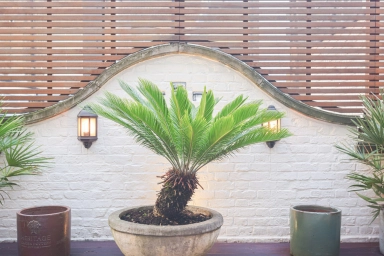 Henrietta Street, Covent Garden - WC2E view 29