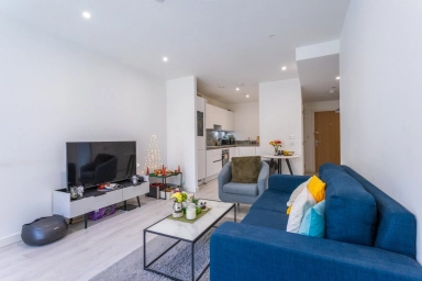 Smithy Lane, Hounslow - TW3 view 8