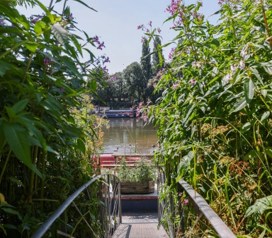 Kew Bridge Road, Brentford - TW8 view 19