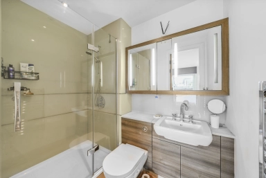 Juniper Drive, Wandsworth SW18 image 14