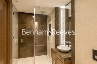 Arundel Street, London - WC2R view 8