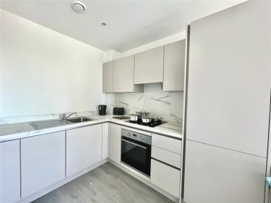 Brook Avenue, Wembley - HA9 view 3
