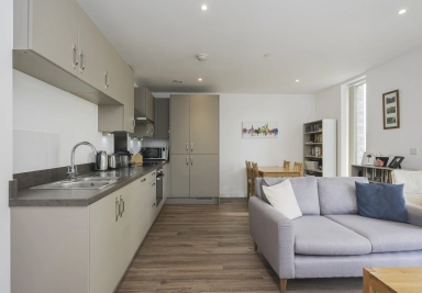 Victory Parade, Woolwich - SE18 view 17