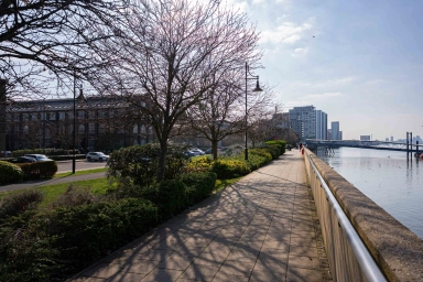 Argyll Road, Royal Arsenal SE18 image 18