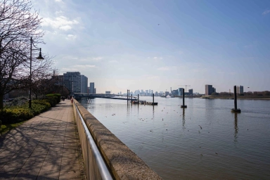 Argyll Road, Royal Arsenal SE18 image 9