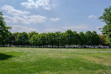 SE10image8