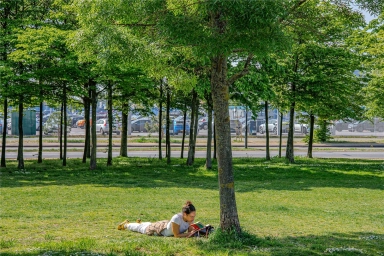 SE10image10