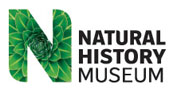 Mammoths: Ice Age Giants - Natural History Museum