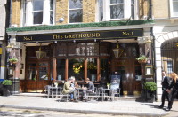 The Greyhound - Kensington