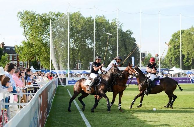 Polo