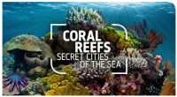 Coral Reef Natural History Museum