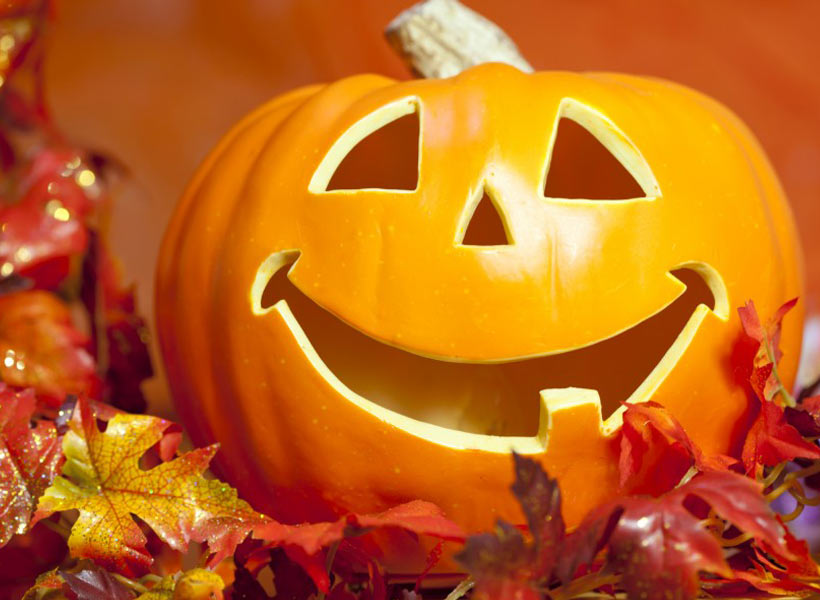 iStock_000017782005_Large