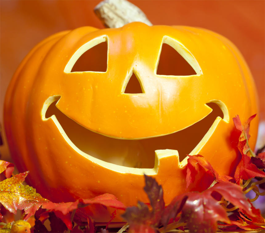 iStock_000017782005_Large