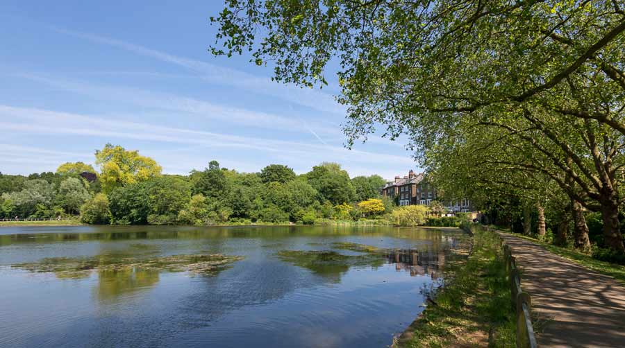 Hampstead Heath