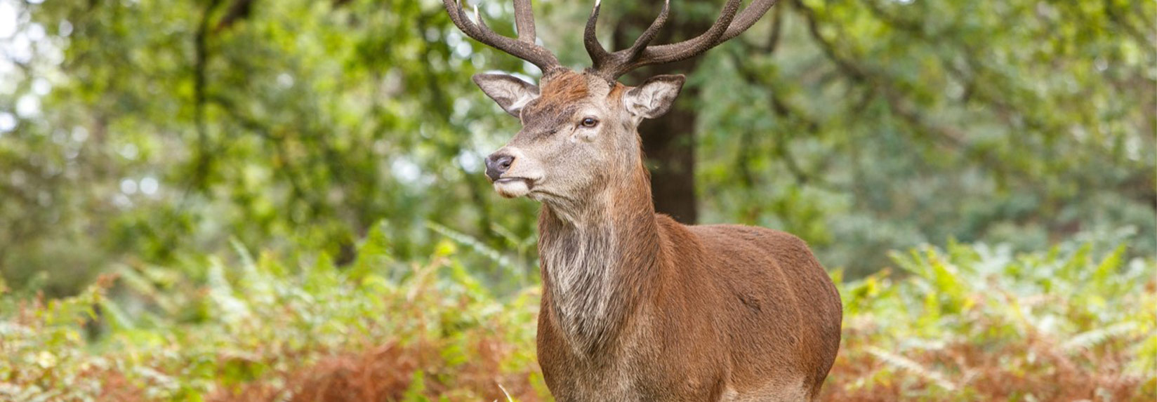 Introducing Sterling Place