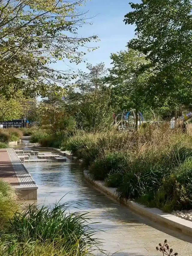 Jumeirah Village Circle