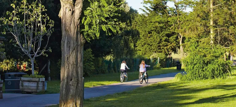 Abundant nature and green spaces