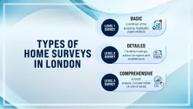 Why is a property survey important when buying a London home?
