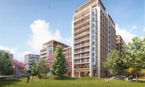 Development in Focus - King’s Road Park