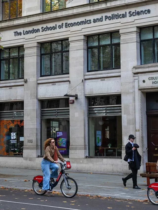 How school catchment areas affect property prices image