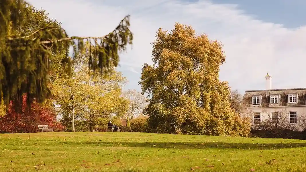 Wimbledon Bridge House - Green space