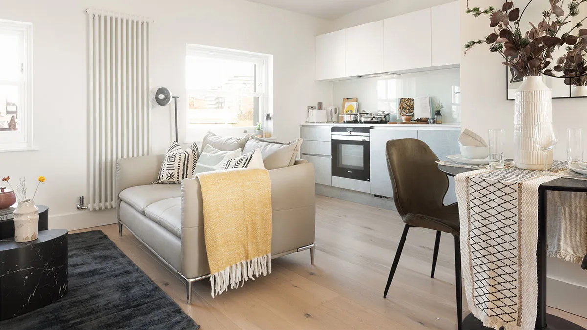 Kitchen and living area