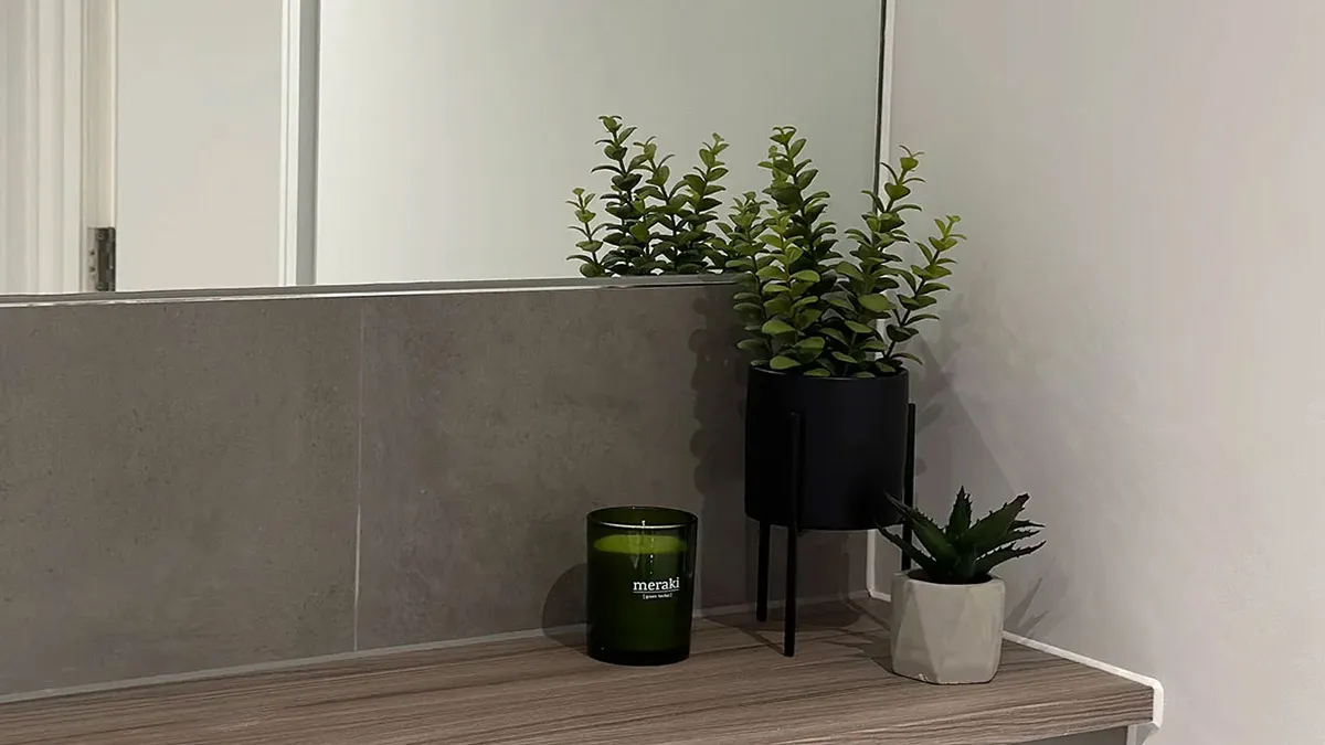 Indoor plant