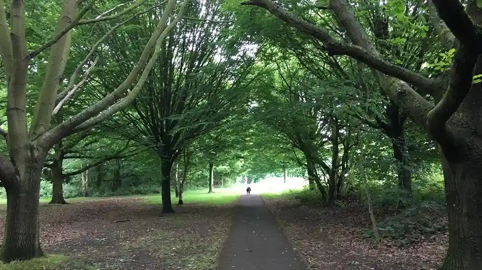 Greenery