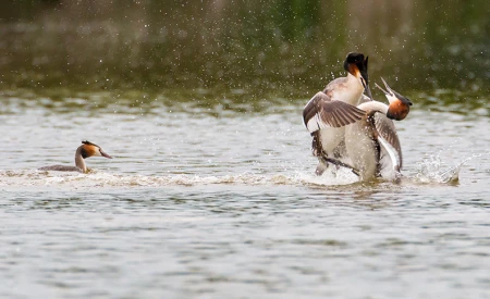 Eastbrookend Country Park